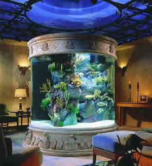 Бізнес-План з виготовлення акваріумів - Завантажити
