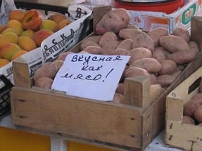 Дослідження бізнесу - вирощування картоплі в Україні Детальніше...