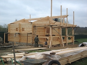 Бізнес план виробництва дерев'яних будинків - Завантажити 