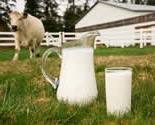 Як виробляють органічне молоко?