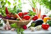 Переробка овочів і фруктів як бізнес.