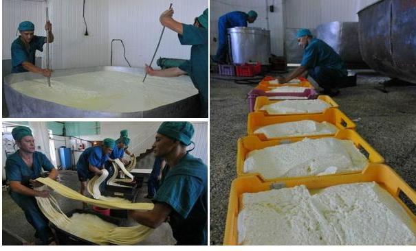 виробництво сиру кіски чечіль - етап 1