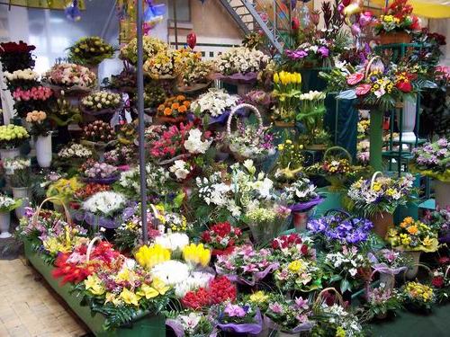 Бізнес План магазин квіти